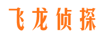 梅里斯市调查公司